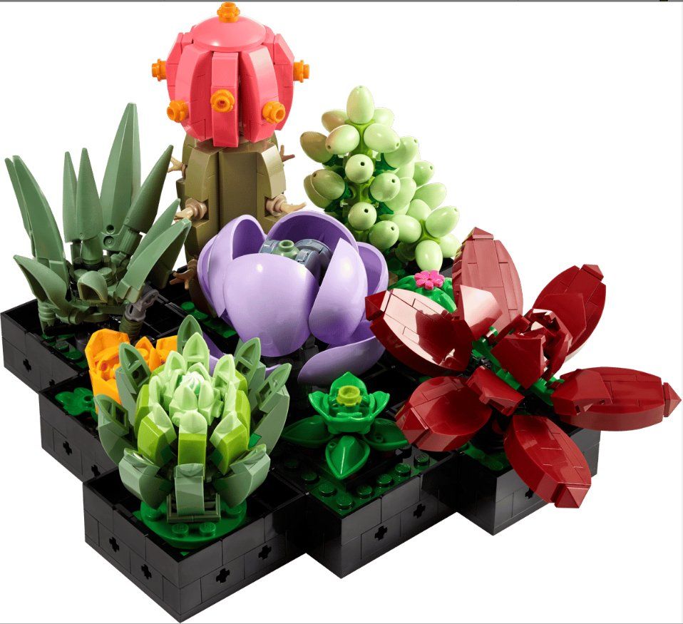 Lego Kit di costruzioni: lego Sukkulenten 10309 – Usato da Bubikon venduto da Grischoni1 1