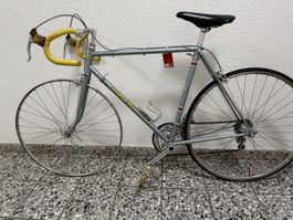 Colner Rennrad Campagnolo