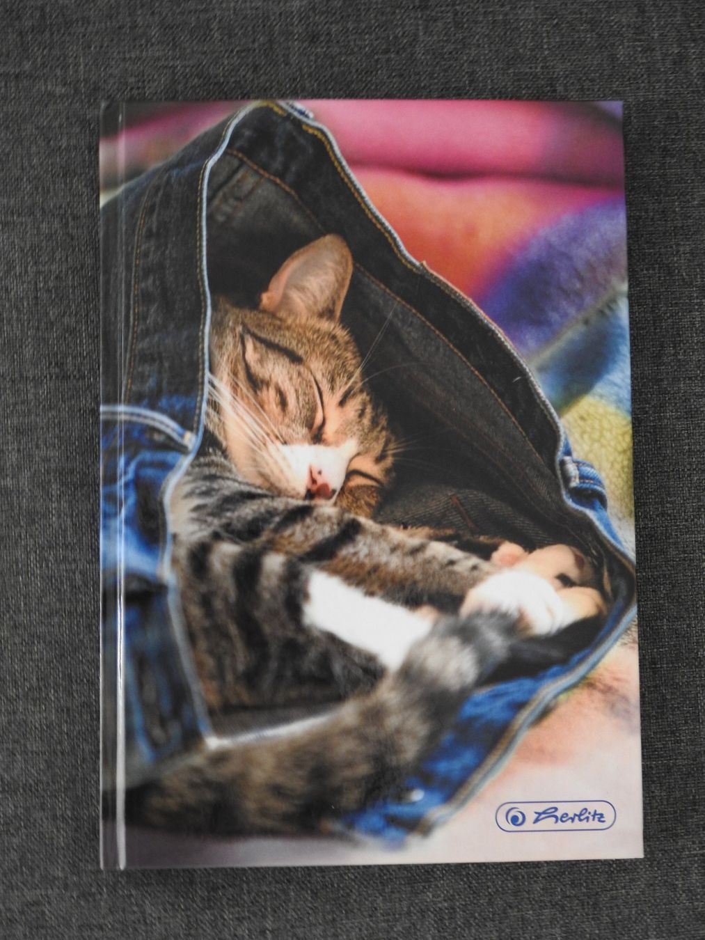 Libri: Notzibuch Katze – Nuovo (secondo la descrizione) da Otelfingen venduto da Schlaedde