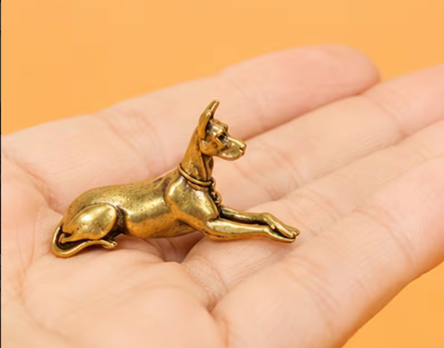 Statuette: Vintage Hund Dobermann aus massivem Messing – Nuovo (secondo la descrizione) da Langenthal venduto da Seelenfreunde 3