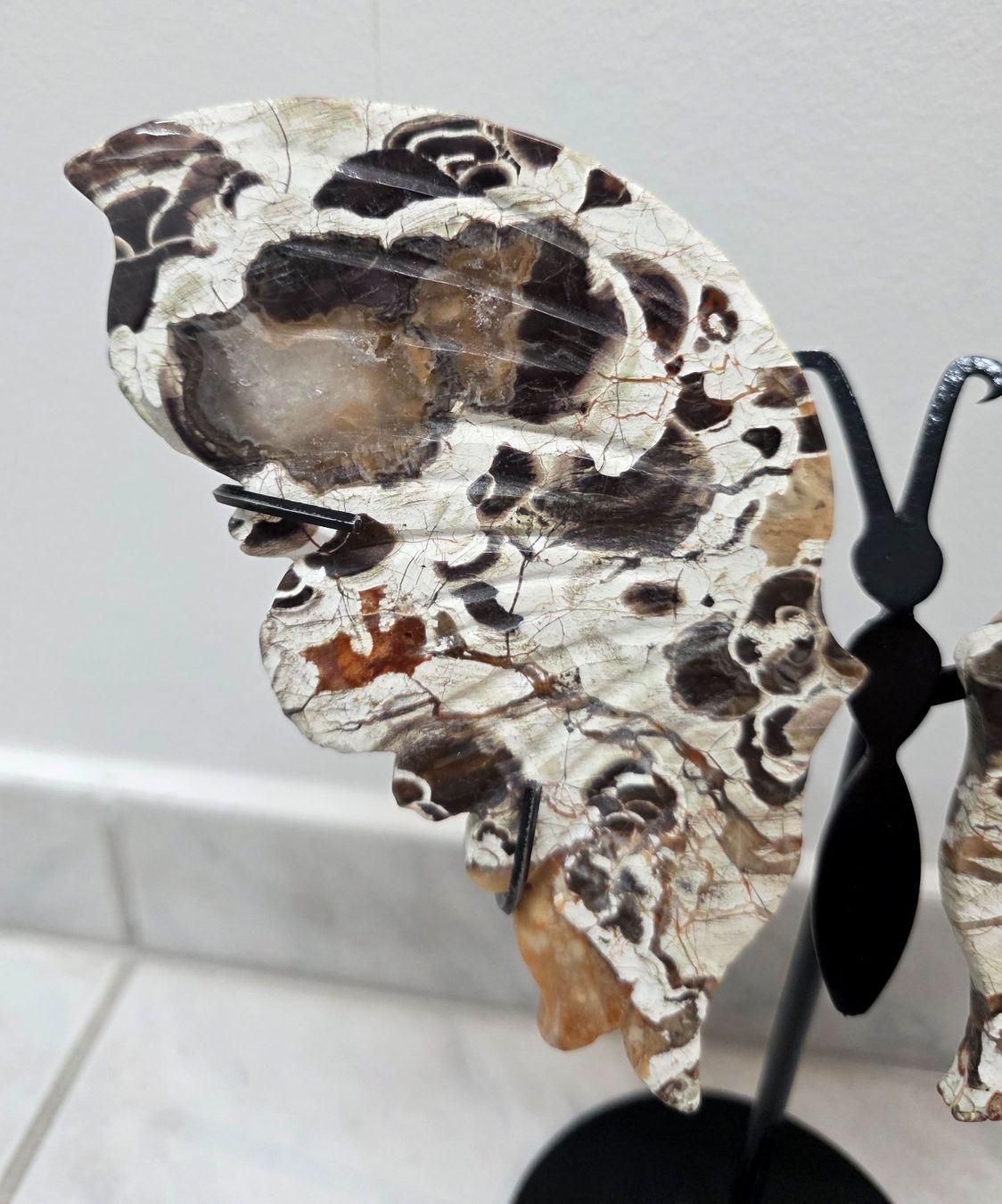 Minerali & Pietre curative: Money Agate Schmetterling – Nuovo e nell'imballaggio originale da Matzingen venduto da Shay_Crystalz 2