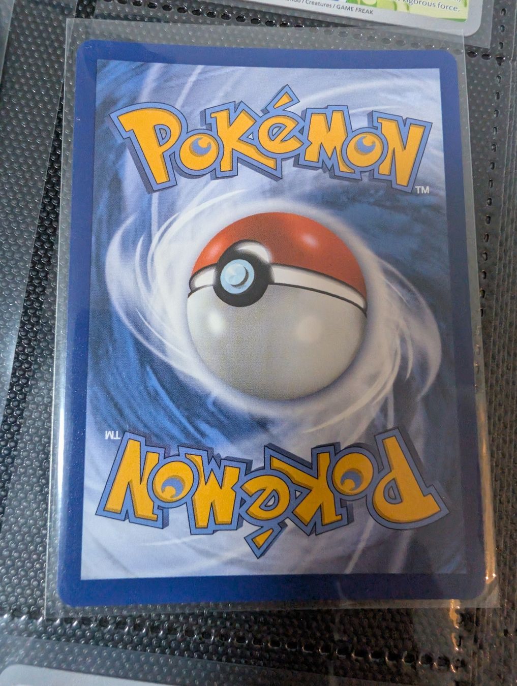 Pokémon Carte collezionabili: Pokemon Johto Starter - First Partner Series 2 - Englisch – Nuovo (secondo la descrizione) da Basel venduto da Master-Ball 5