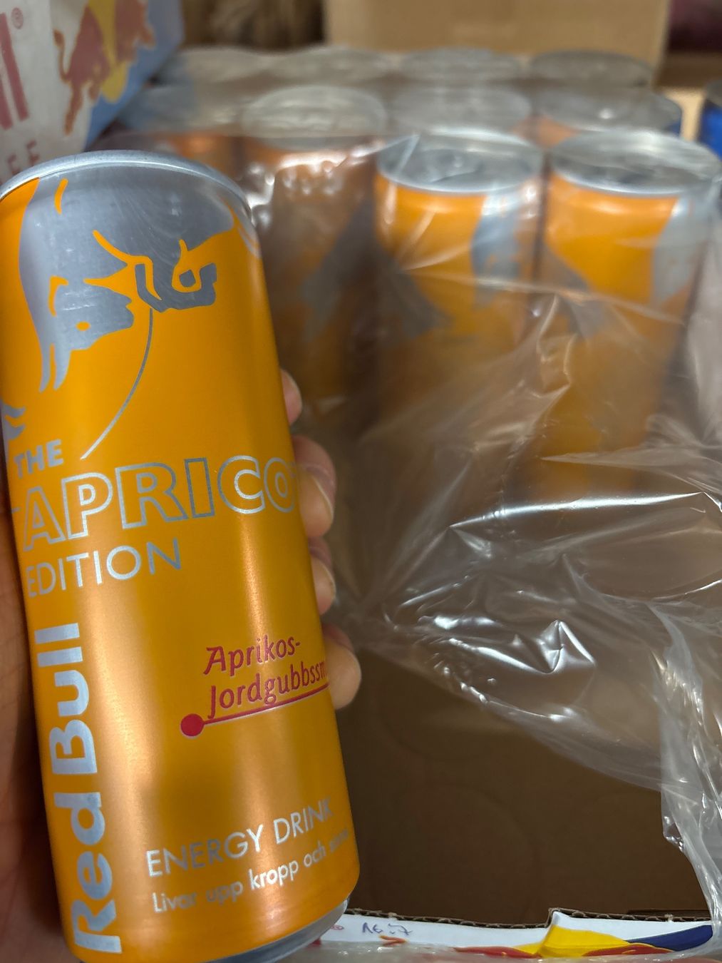 Red Bull Cibi & Specialità: Red Bull Aprikose - 12 Dosen – Nuovo e nell'imballaggio originale da Derendingen venduto da Natiii12