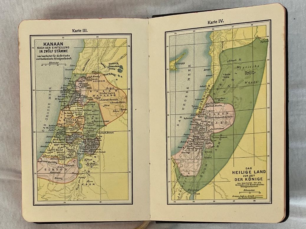 Libri: DIE BIBEL ODER HEILIGE SCHRIFT von Viktoria Knecht / 1916 – Usato da Islikon venduto da sav_m8xk 8