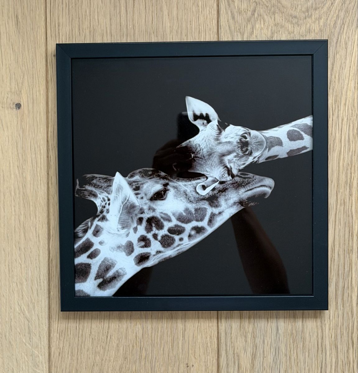 Poster & Bilder: Bild im Glasrahmen schwarz 28x28cm – Neu (gemäss Beschreibung) aus Wetzikon ZH von Lory2023