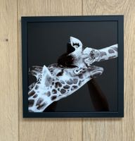 Bild im Glasrahmen schwarz 28x28cm