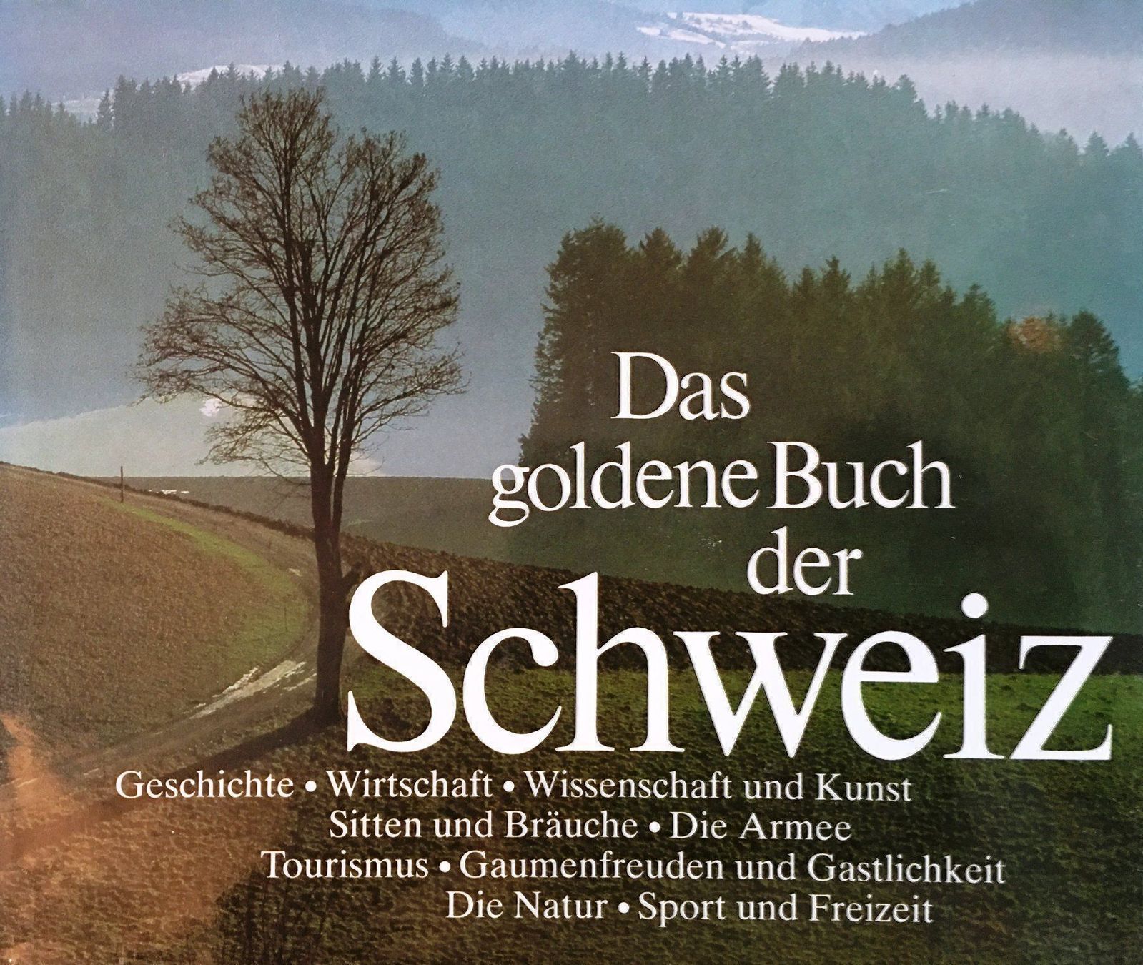 Libri: Das goldene Buch der Schweiz – Usato da Oftringen venduto da Vucki 1
