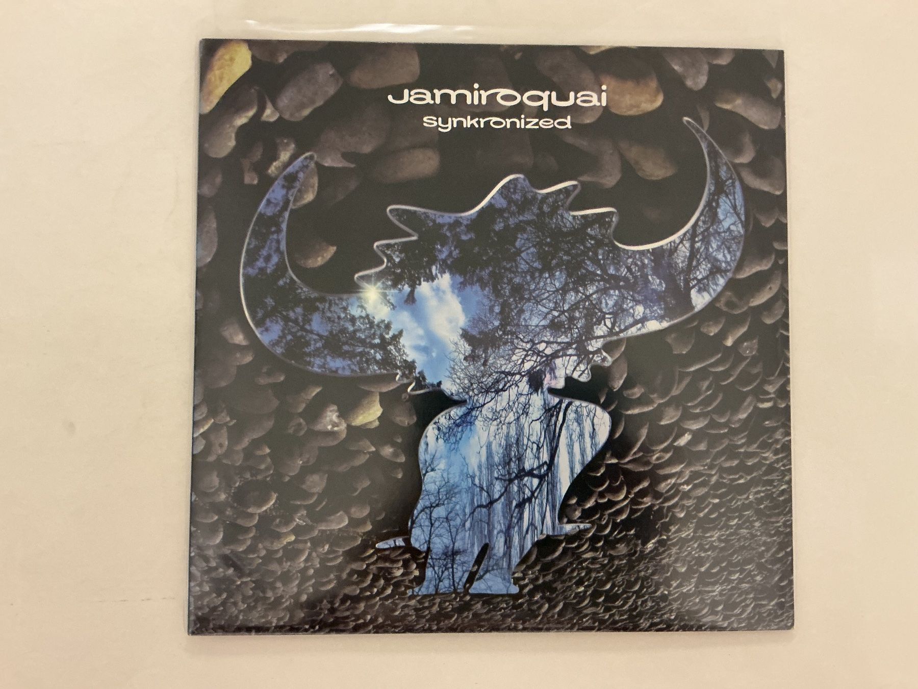 Vinyles: Jamiroquai LP -  Synkronized – D'occasion à Winterthur par Tumko_7_Vinyl