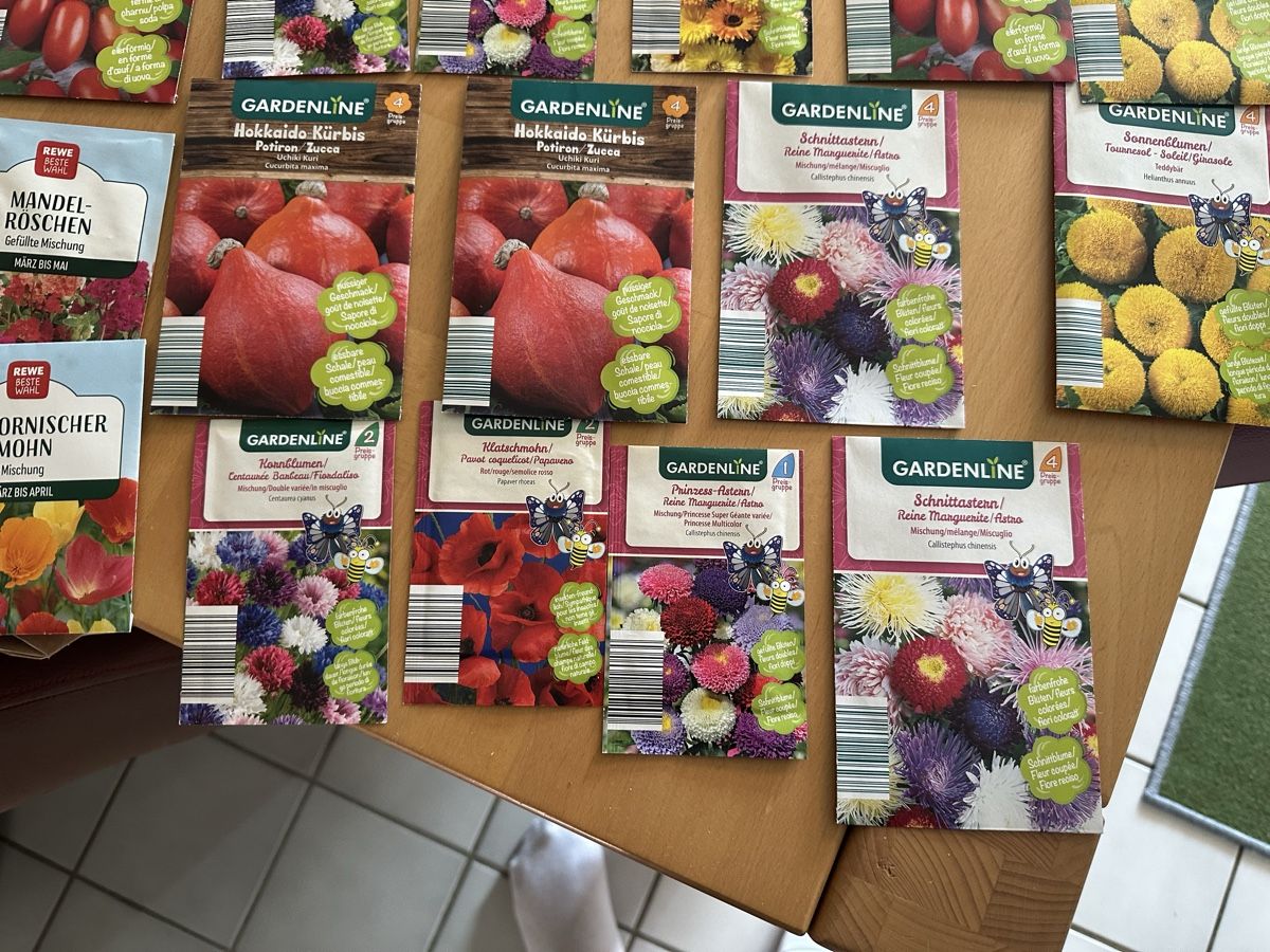 Piante & sementi: Gemüse u Blumen Samen 16 st – Nuovo (secondo la descrizione) da Bern venduto da womiman 2