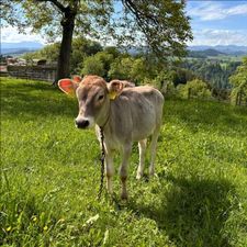 Profile image of Samymolcho