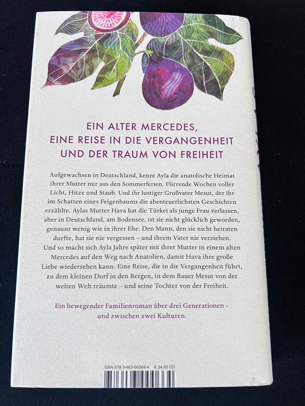 Libri: Buch - Aylas lachen - roman – Nuovo (secondo la descrizione) da Effretikon venduto da YaMn 2