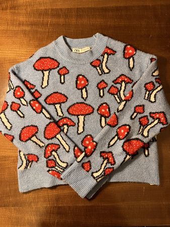 ZARA Pullover Gr. S