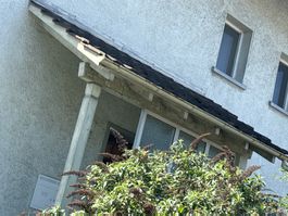 Aus Hausräumung-Holz- Vordach m Ziegel