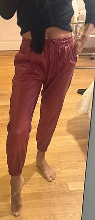 Bordeaux rote Hose von ZARA NEU mit Etikett XS