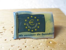 Euro Vision ???  Pin
