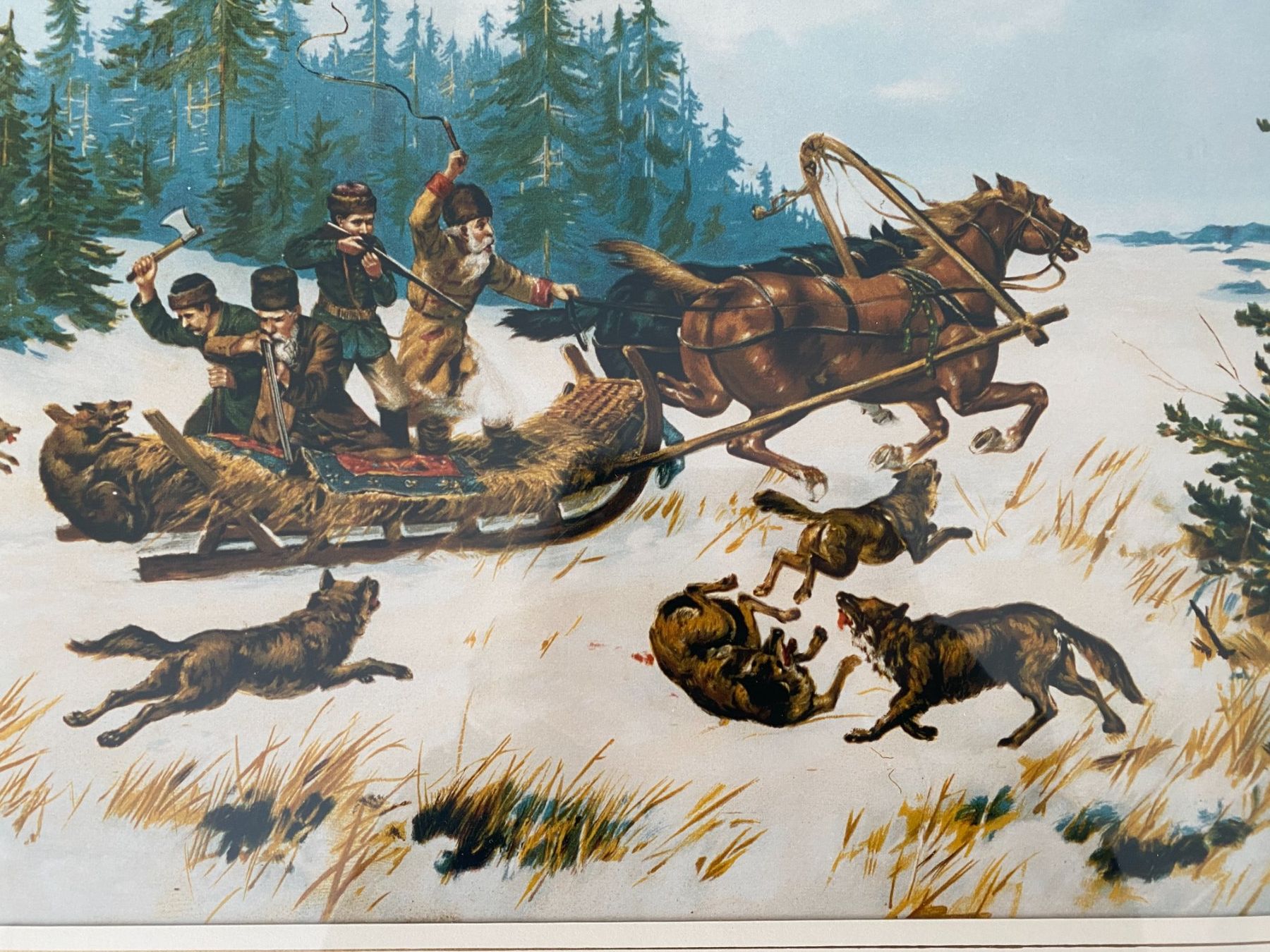 Foto & Immagini: Jagdbild - Wolfsjagd - Kunstdruck – Usato da Gerolfingen venduto da Regenbogen88 1