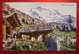 Alphütte bei Wengen, 1926