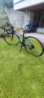Rennrad Trek