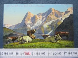 MÜRREN KUHERDE EIGER MÖNCH BEO AK