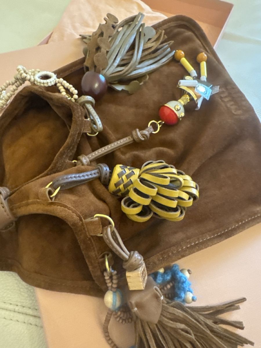 Miu Miu Borse da donna: MIU MIU Tasche Neu – Nuovo (secondo la descrizione) da Luzern venduto da TENDIMO 4