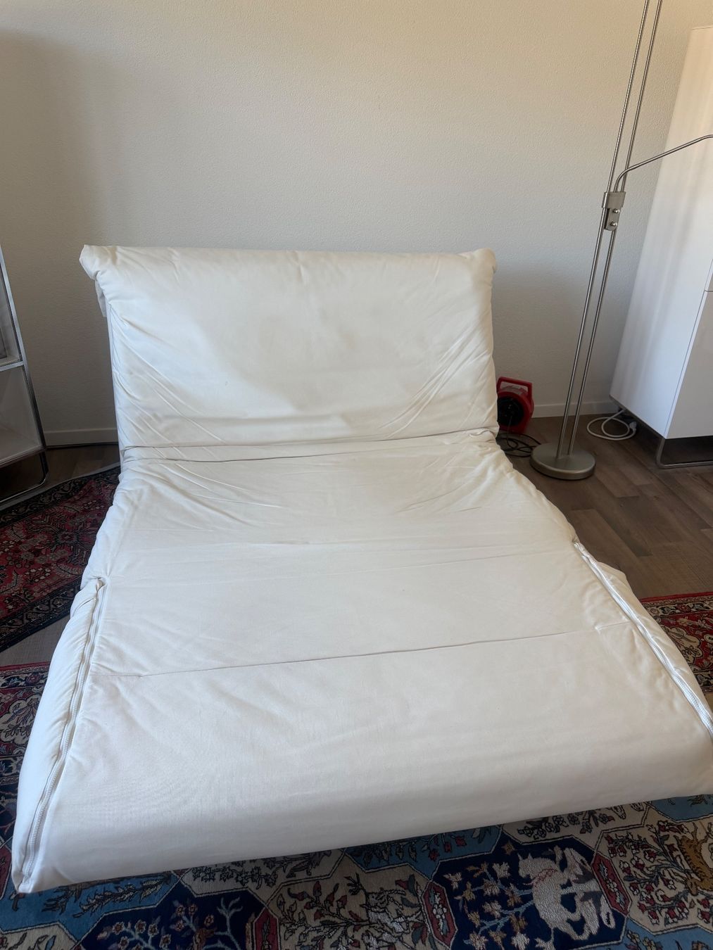 Ligne Roset Divani: Schlafsofa Ausziehbar Ligne Roset – Usato da Rickenbach Sulz venduto da and_5wjk