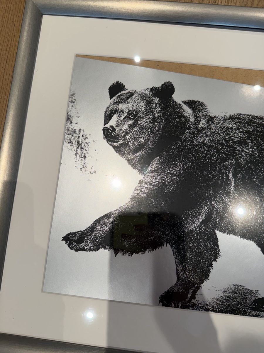 Foto & Immagini: Wandbild Bär mit Silberrahmen IKEA Silverhöjden 40x50cm – Usato da Küsnacht ZH venduto da ToddyGinger 1