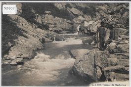 Torrent de Barberine - animee