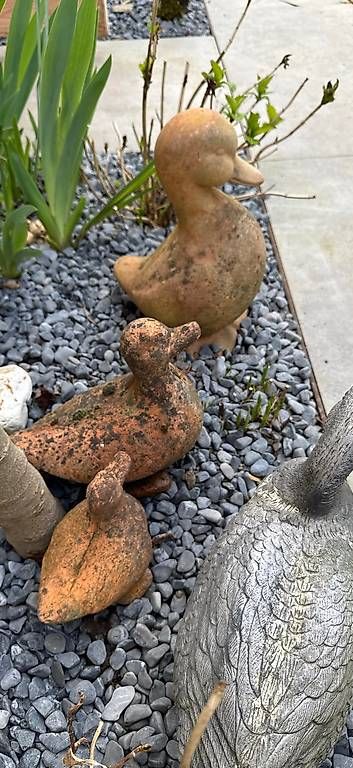 Figuren: FamilieEnte ente – Gebraucht aus Weiningen ZH von Fabu1892 2