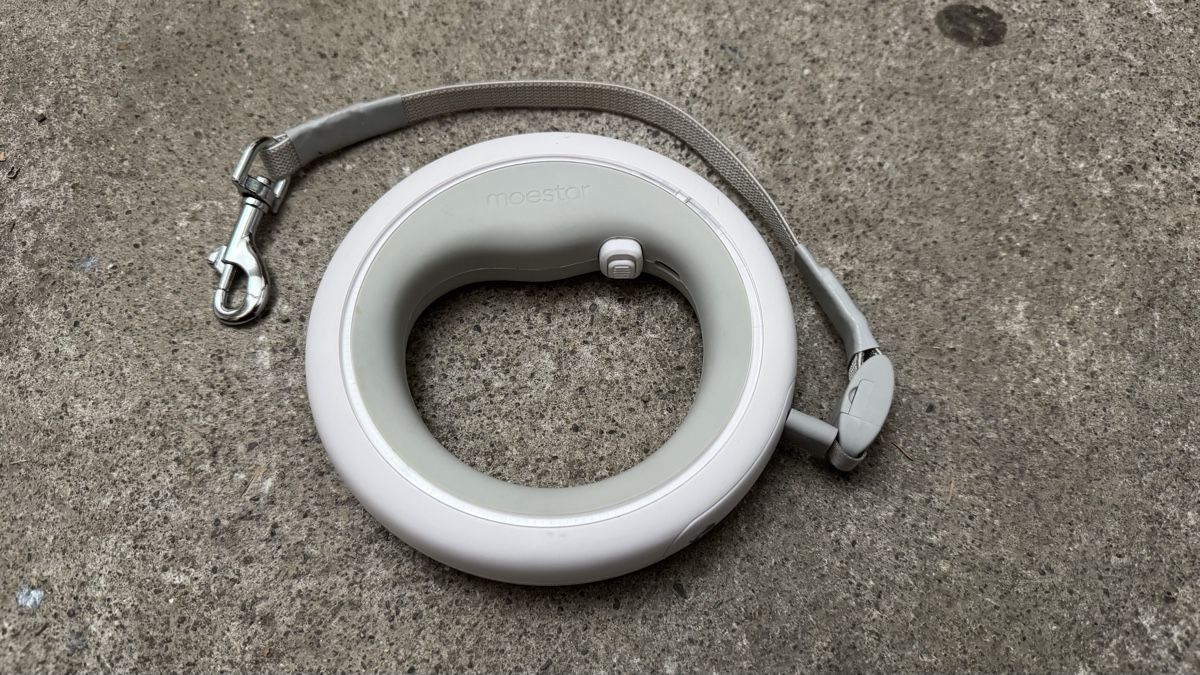 Lampade: 🔥Moestar Flexi Leash mit Lampe, neuwertig – Usato da Fällanden venduto da Limousinenswiss