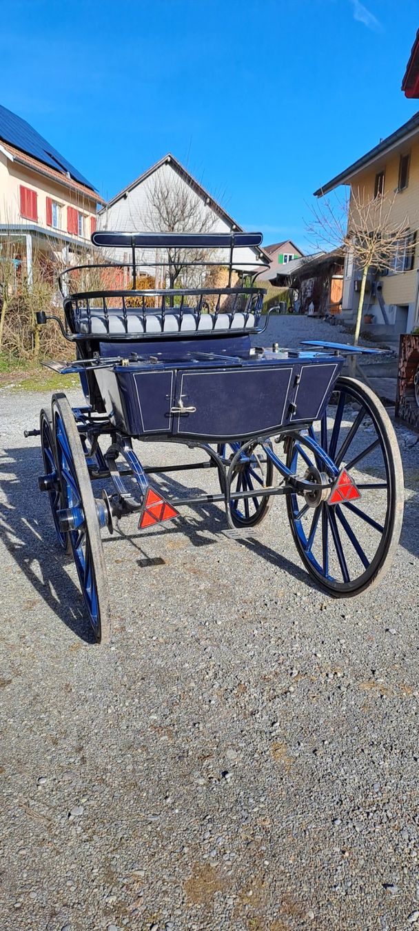 Kutschen: Klapp-Break blau – Gebraucht aus Zihlschlacht von MaBi2019 4