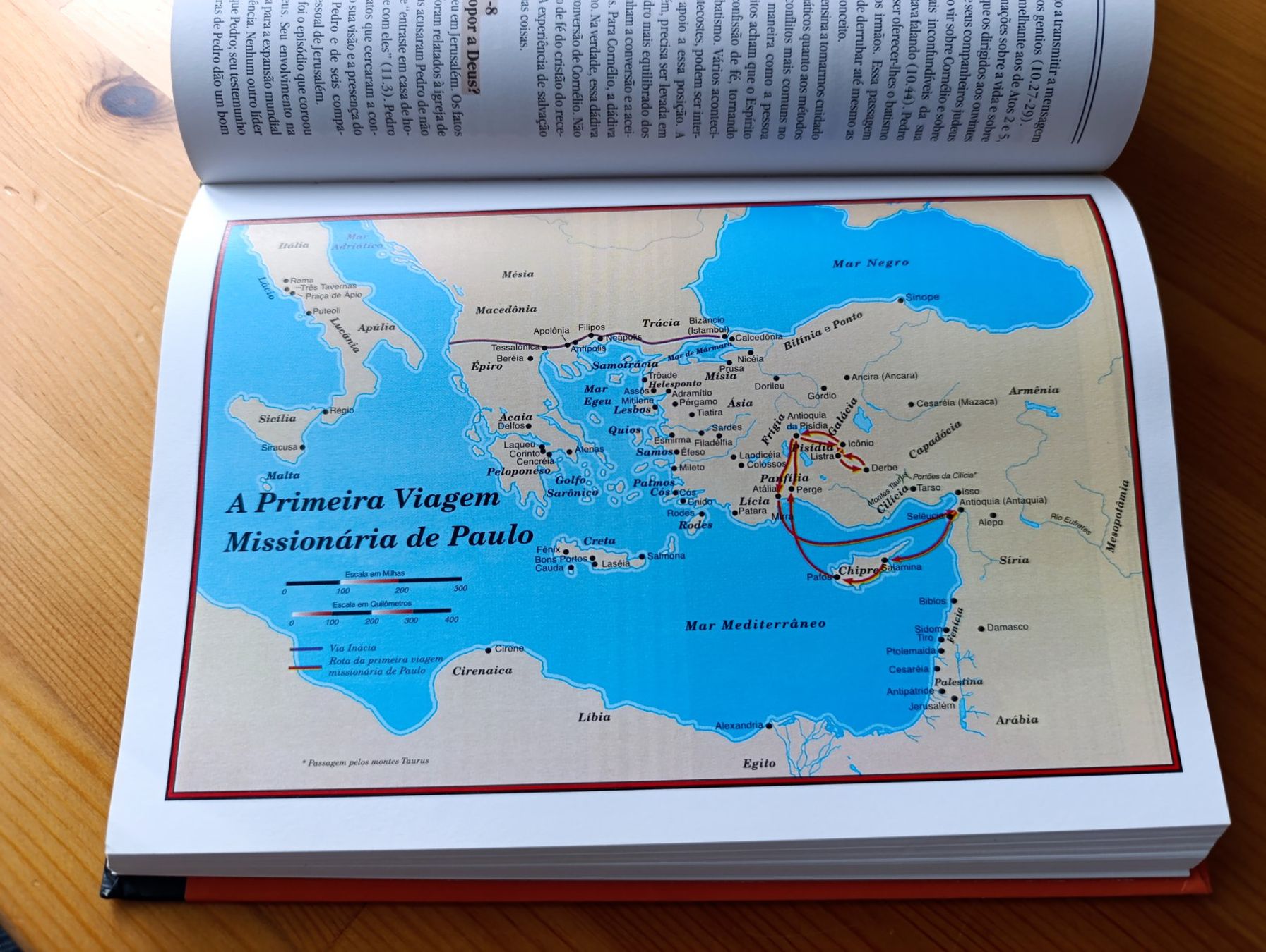 Libri: Manual Biblico Vida Nova – Usato da Prangins venduto da Timband 6