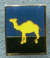 CAMEL  