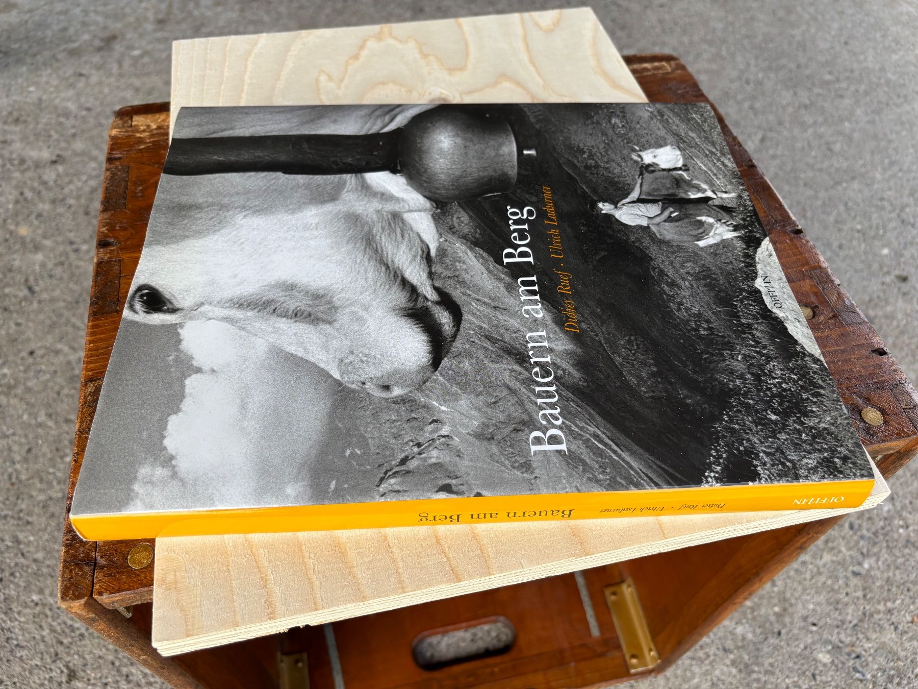 Campanacci mucche: Buch Bauern am Berg – Usato da Feldbach venduto da Fea1 2