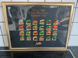 WM Pins