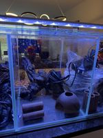 Aquarium aus Weissglas inkl. Zubehör