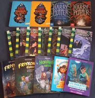 Lot de 16 livres pour enfants et adolescents -