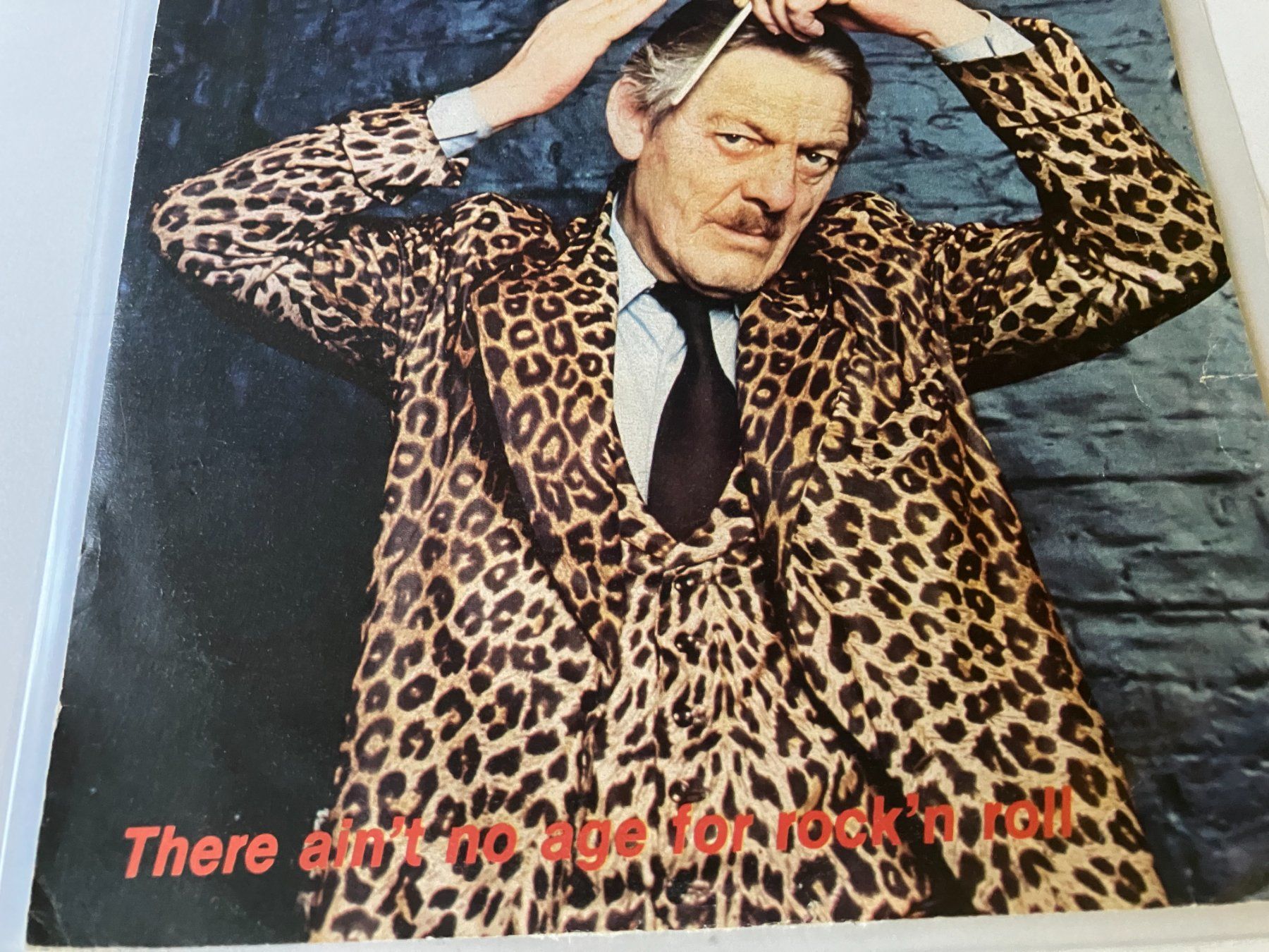 Dischi in vinile: The Veterans – Usato da Aarwangen venduto da Jukebox3 2
