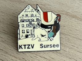 Pin KTZV Sursee