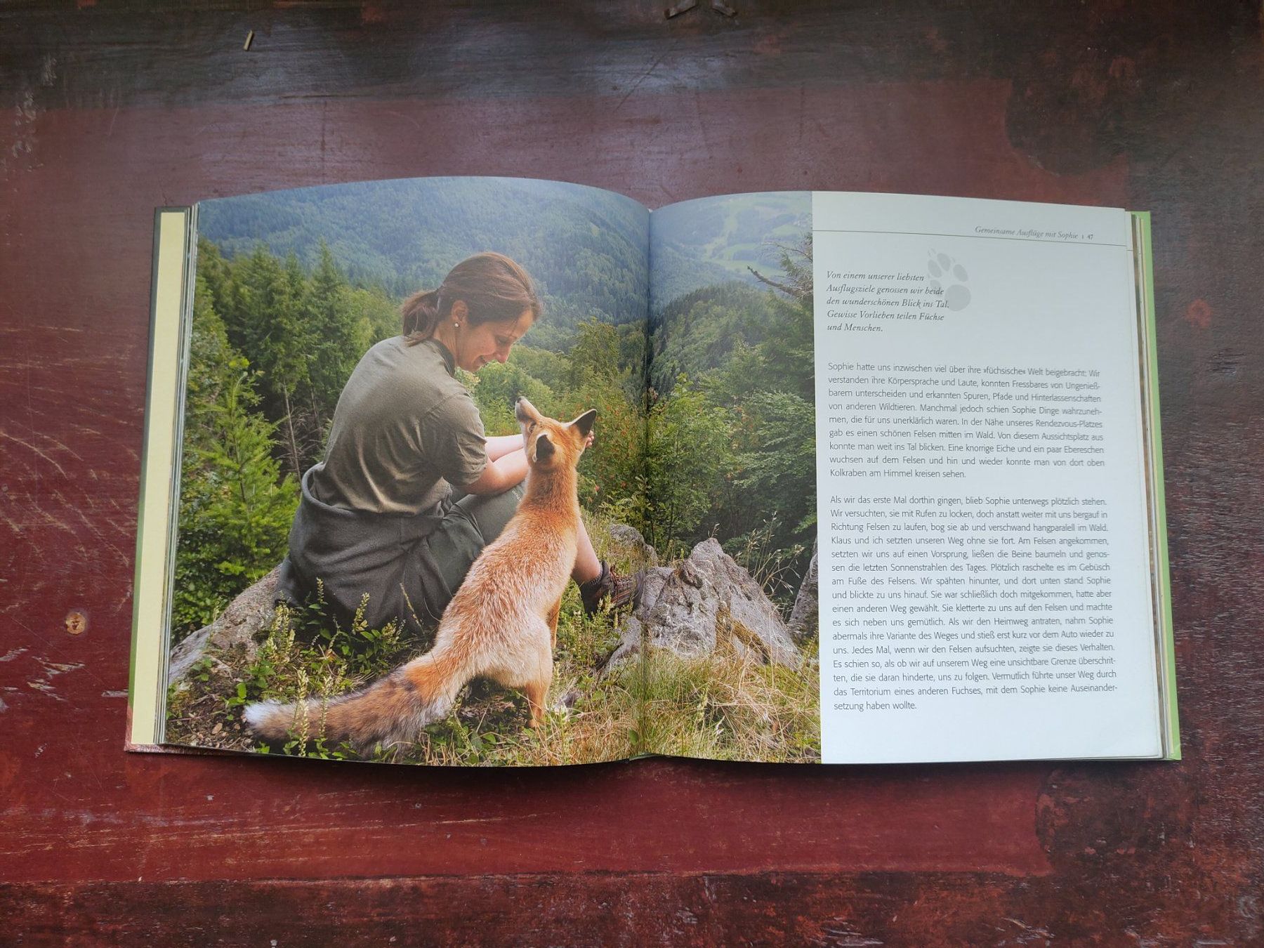 Libri: Fuchs ganz nah: Die Geschichte einer Freundschaft - Buch ... – Nuovo e nell'imballaggio originale da Bern venduto da Cassiopeia-72 2