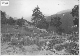 Hotel Ucliva - Waltensburg/Vuorz
