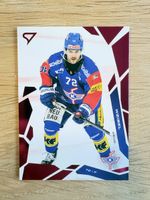 Sportzoo Keijo Weibel EHC Kloten Bascard purple