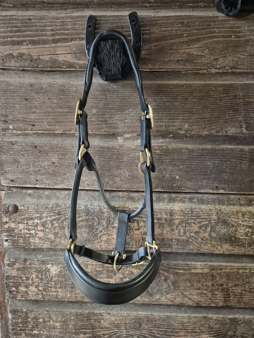 Briglie & Cavezze: Leder Halfter Cob – Usato da Meggen venduto da Orrinka20