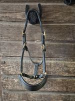 Leder Halfter Cob