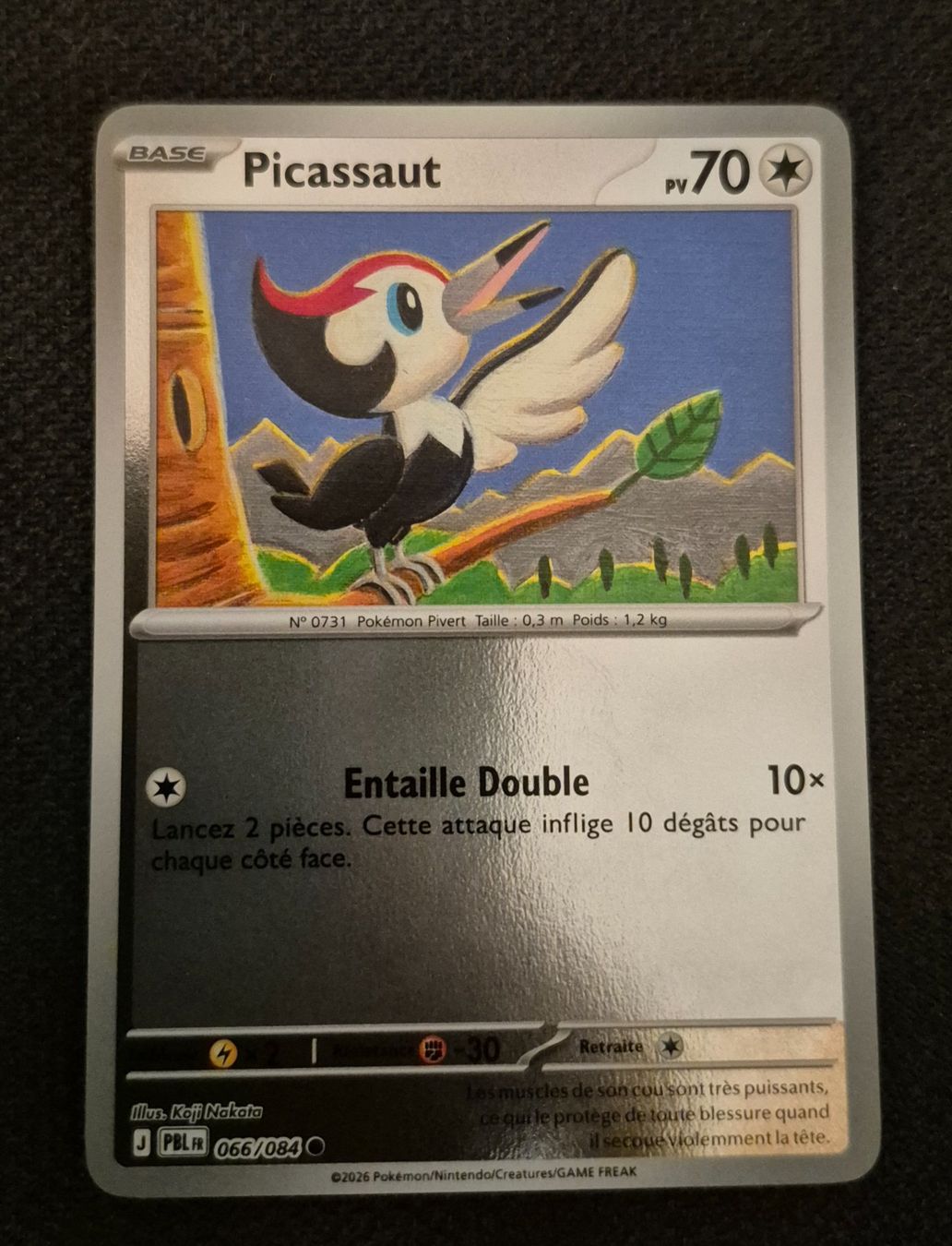 Pokémon Sammelbilder & Trading cards: PICASSAUT 066/084 REVERSE POKEMON NUIT NOIRE – Gebraucht aus Grand-Lancy von luc111