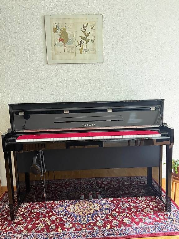 Yamaha Strumenti musicali: Yamaha NU1X PE – Usato da Luzern venduto da rah_r8zx 2