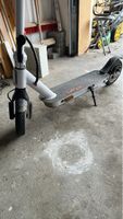 Voltaik MGT 350 Elektro Scooter - Ideal für Pendler