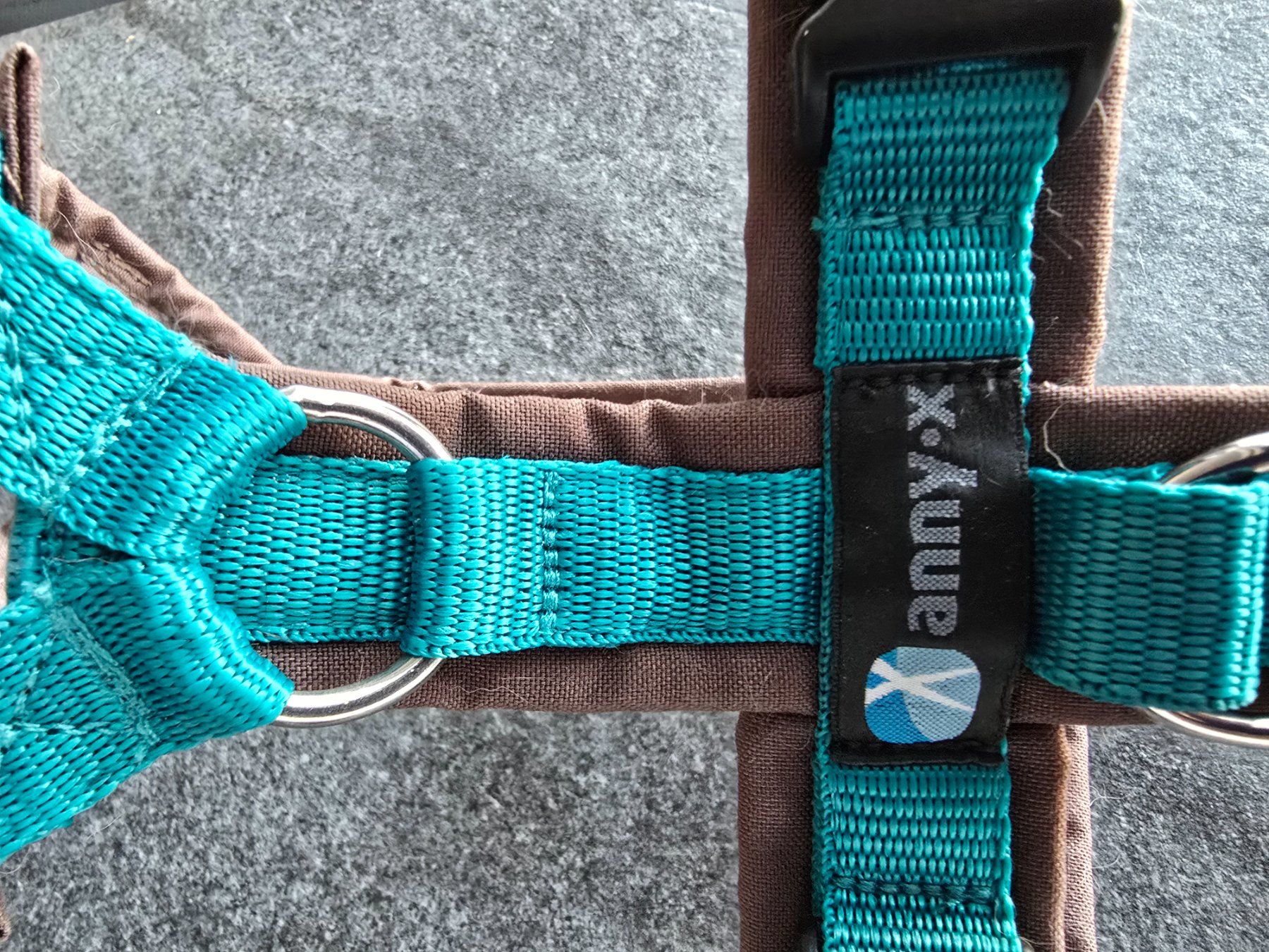 Set di piatti: Hundegeschirr Anny x – Usato da Merenschwand venduto da Juditha786 1