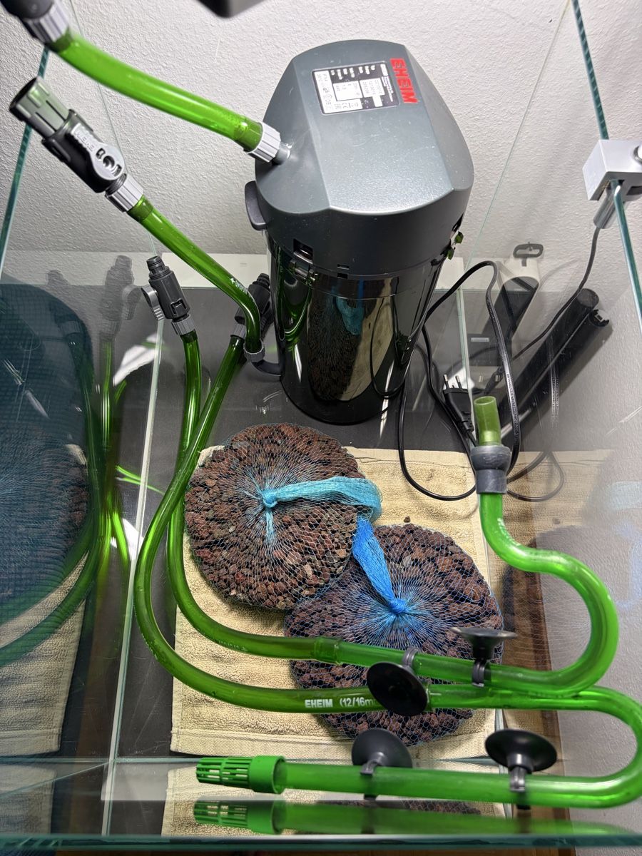 Aquarium: Kit aquarium 60L complet (filtre + éclairage) – Gebraucht aus Peseux von ric_ybl8 2