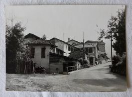 FOTO AK TESSIN BRISSAGO ?, Dorfpartie