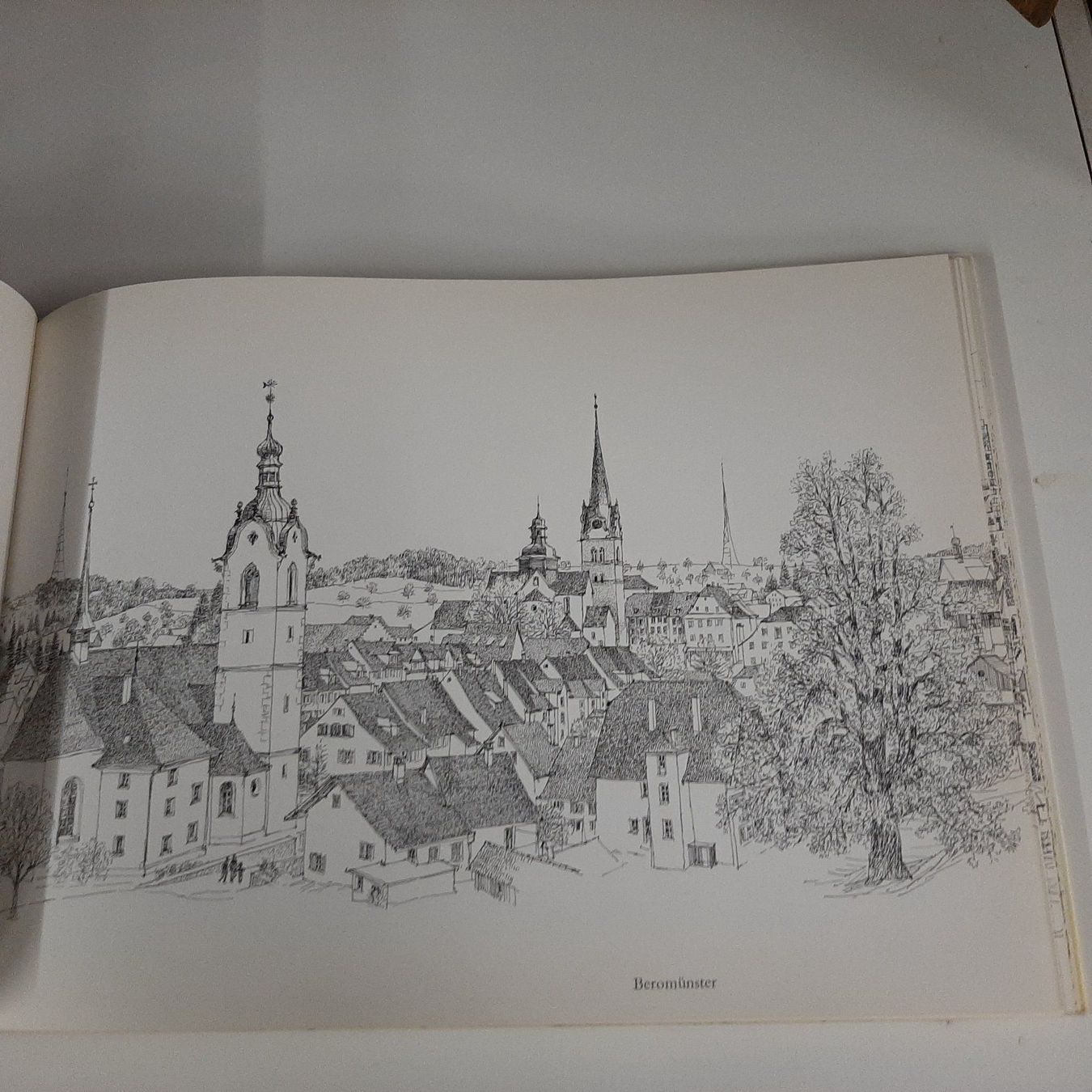 Libri: Städte und Dörfer der Schweiz – Usato da Zürich venduto da Schoebi19 4